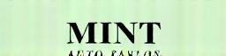 Mint Auto Parlor Logo 256x64